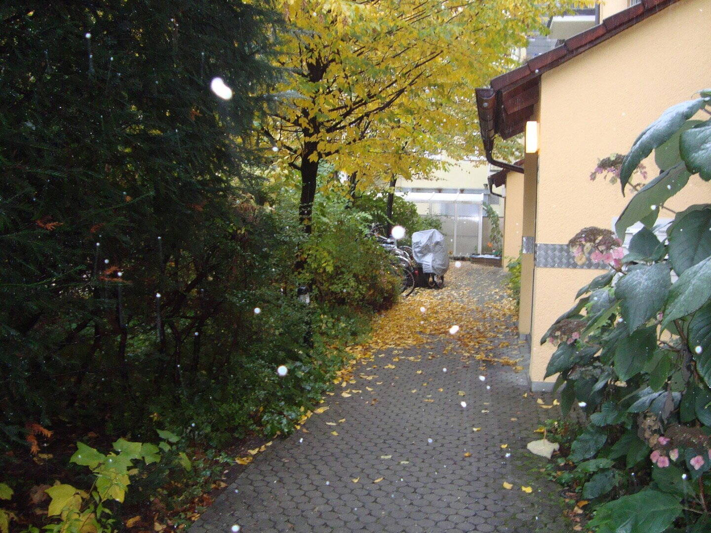 image-72788172