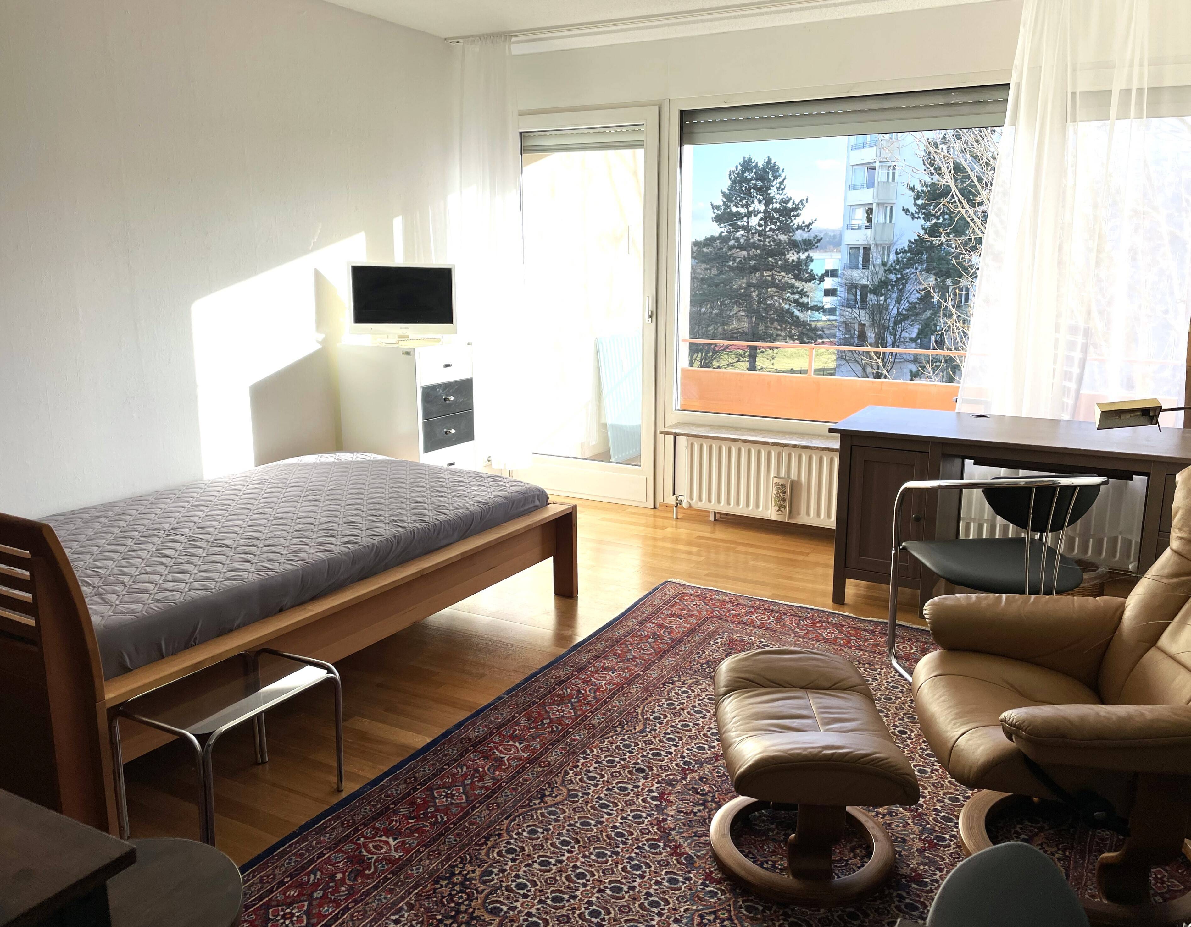 Ein-Raum-Apartment, modern möbliert, hell und freundlich, Koblenz-Karthause, 56075 Koblenz (Karthause Mitte Oberwerth Stolzenfels Süd)