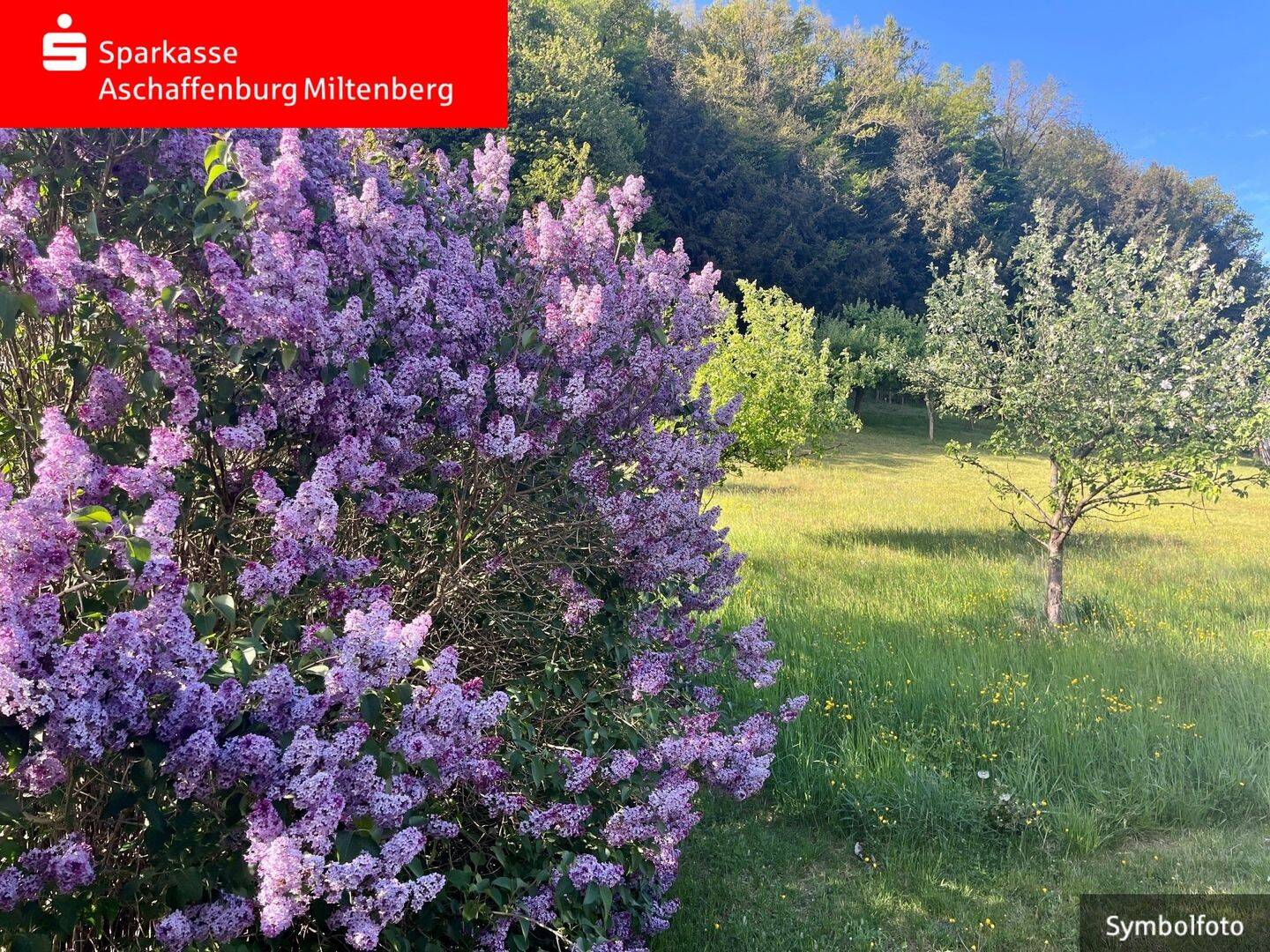 Platz für Sie und Ihre Lieben, 63808 Haibach