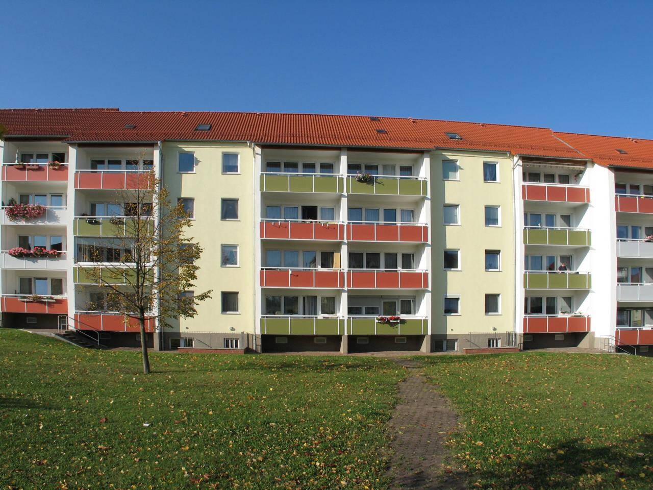 image-72726162