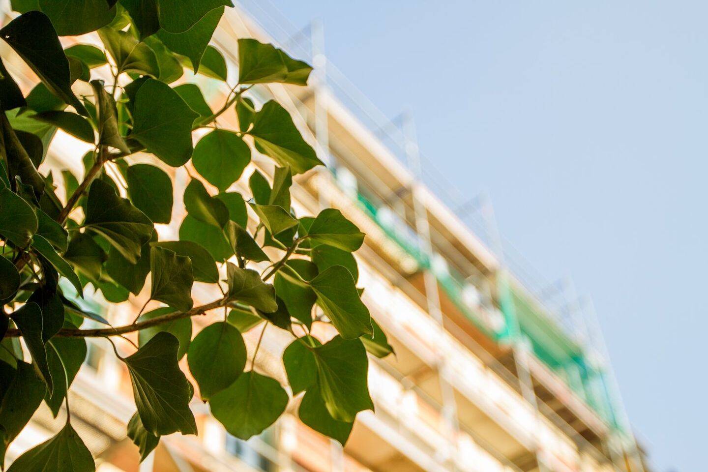 2 Zimmer Wohnung mit Küche, Südliche Innenstadt, 6110 Halle (Saale) (Damaschkestraße Gesundbrunnen Innenstadt Lutherplatz Saaleaue)