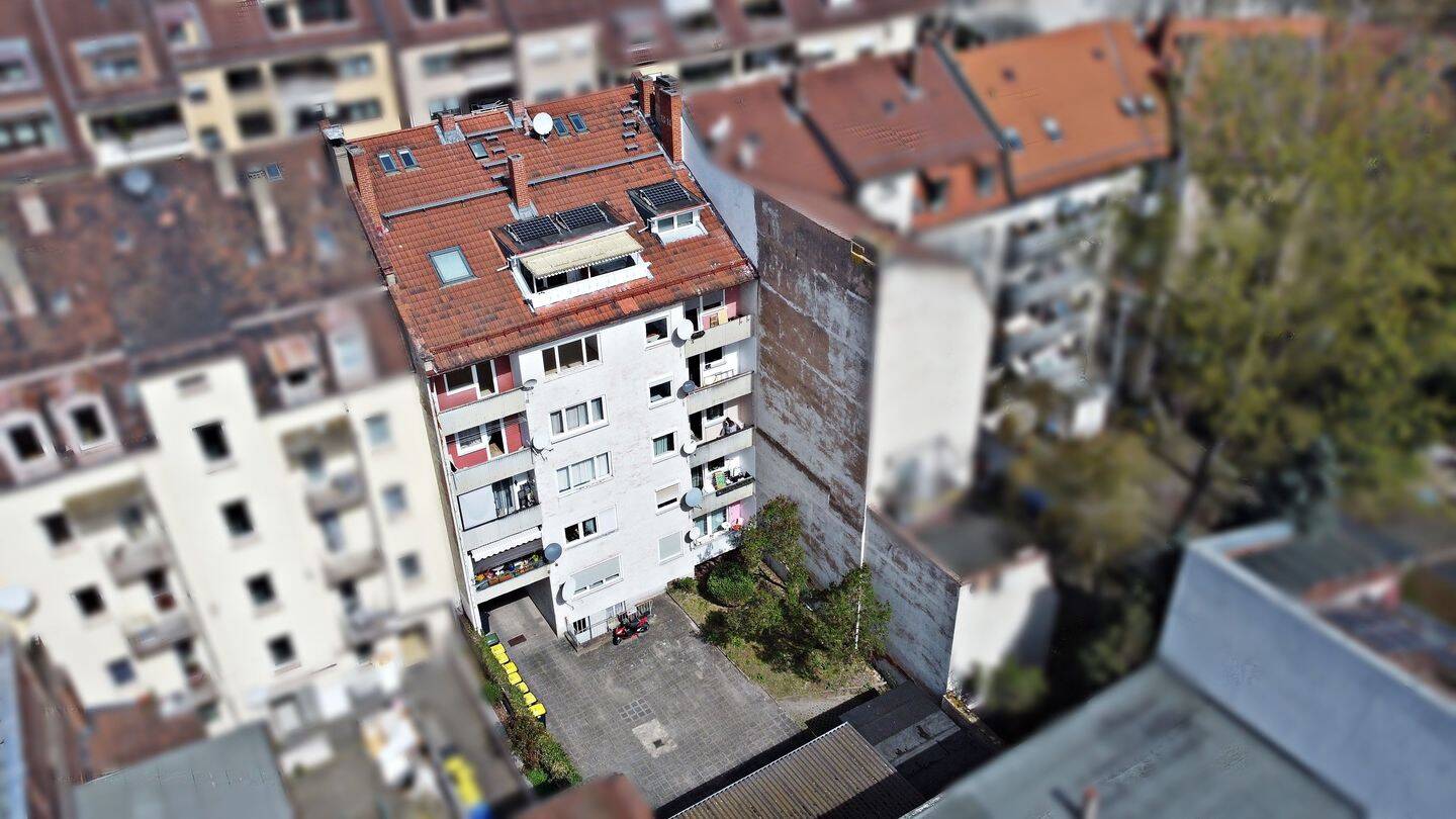 image-72488229