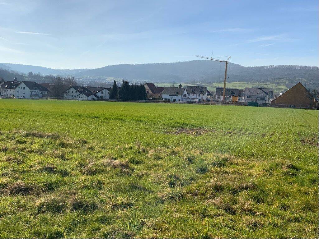 Winnenden-Höfen: Bauerwartungsland, 71364 Winnenden
