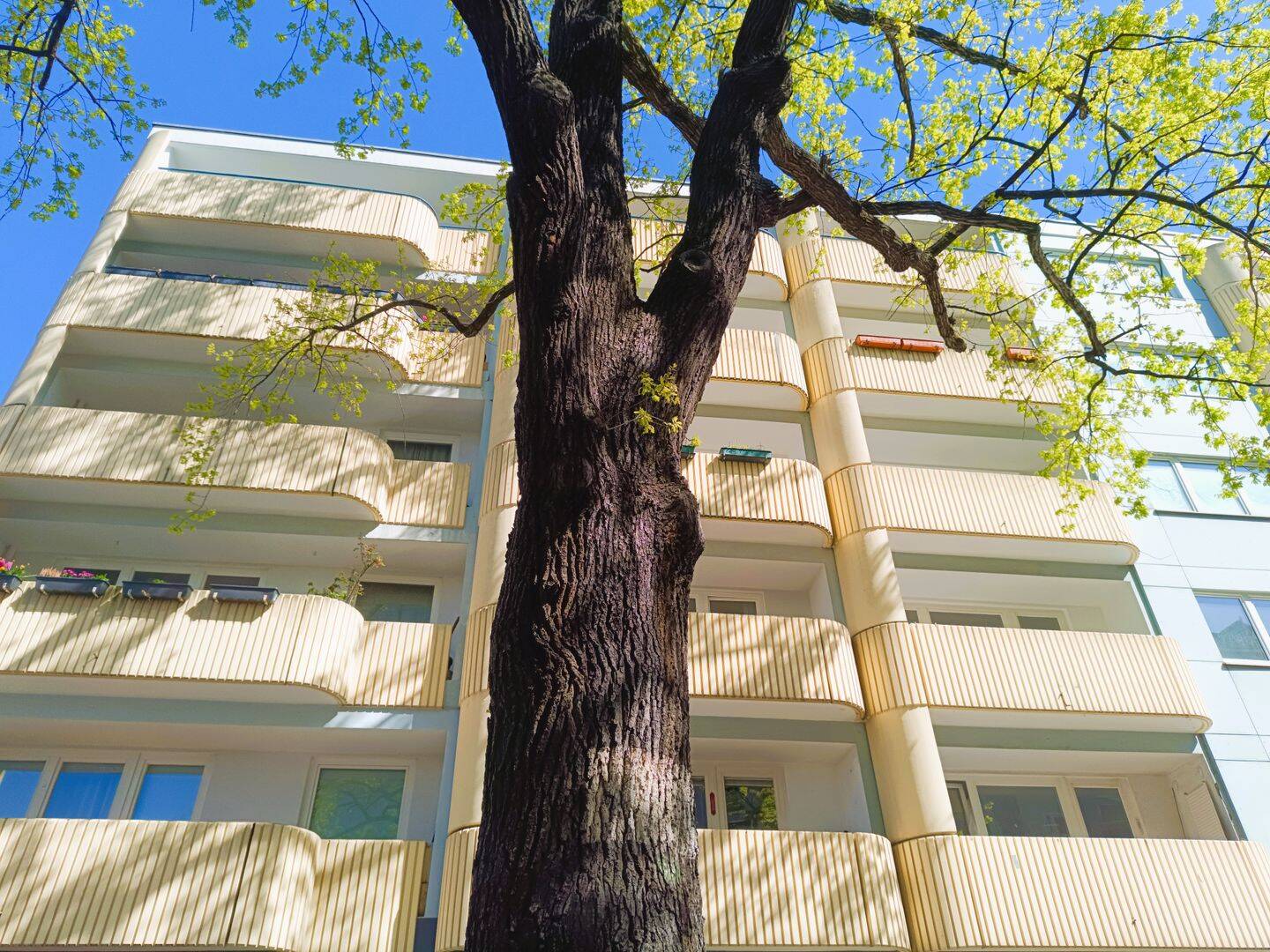 image-72773201