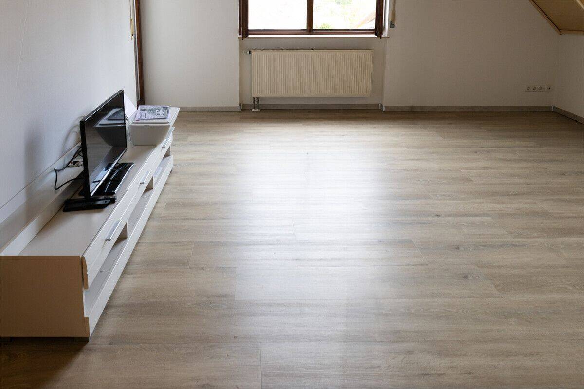 Bezugsfertig ab September – Renovierte 3-Zimmer-Wohnung mit Balkon, 76470 Ötigheim