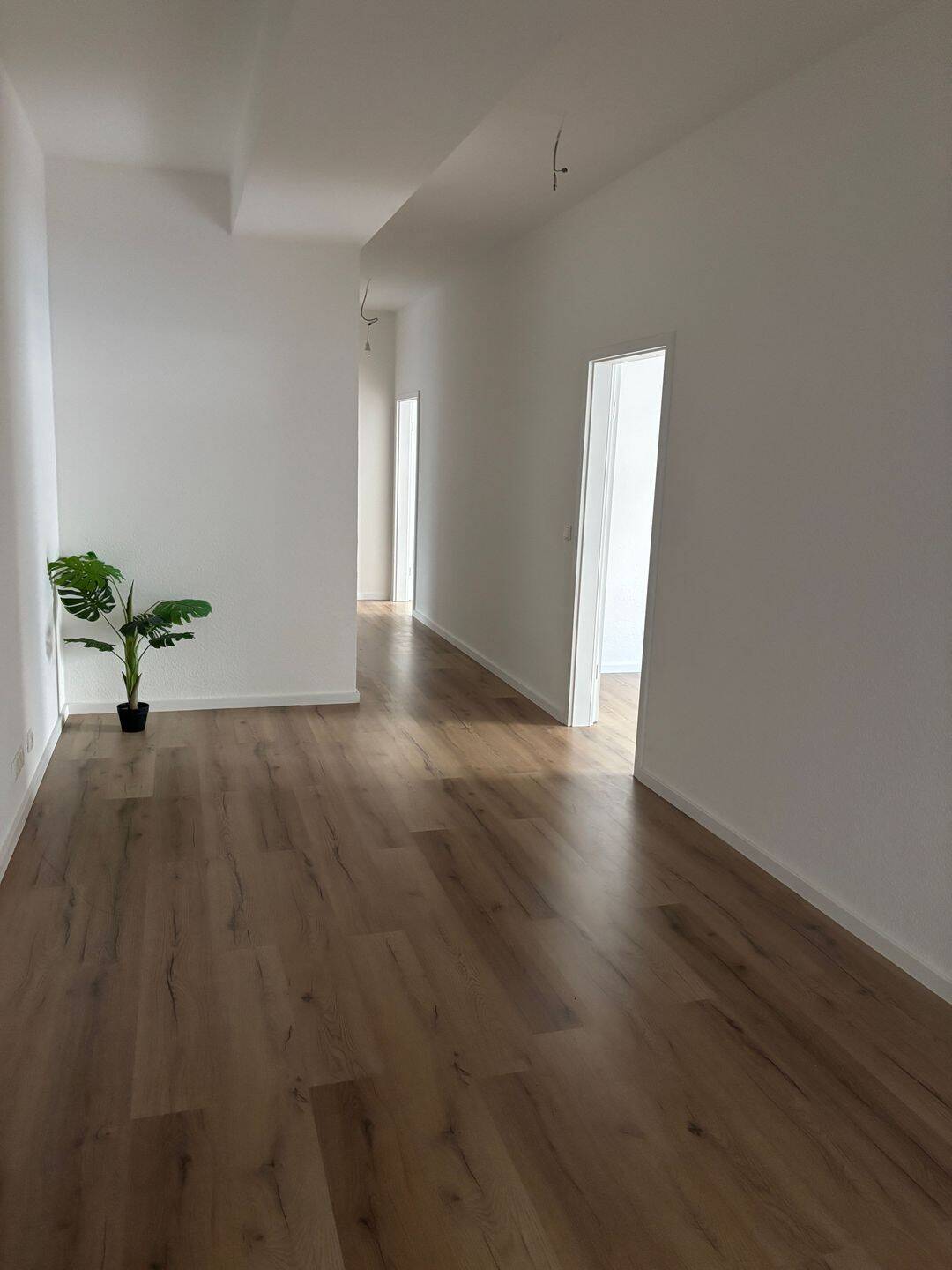 4,5 Zi. 185m² nähe Zoopark Erstbezug nach Sanierung, 40239 Düsseldorf (Düsseltal Mörsenbroich)