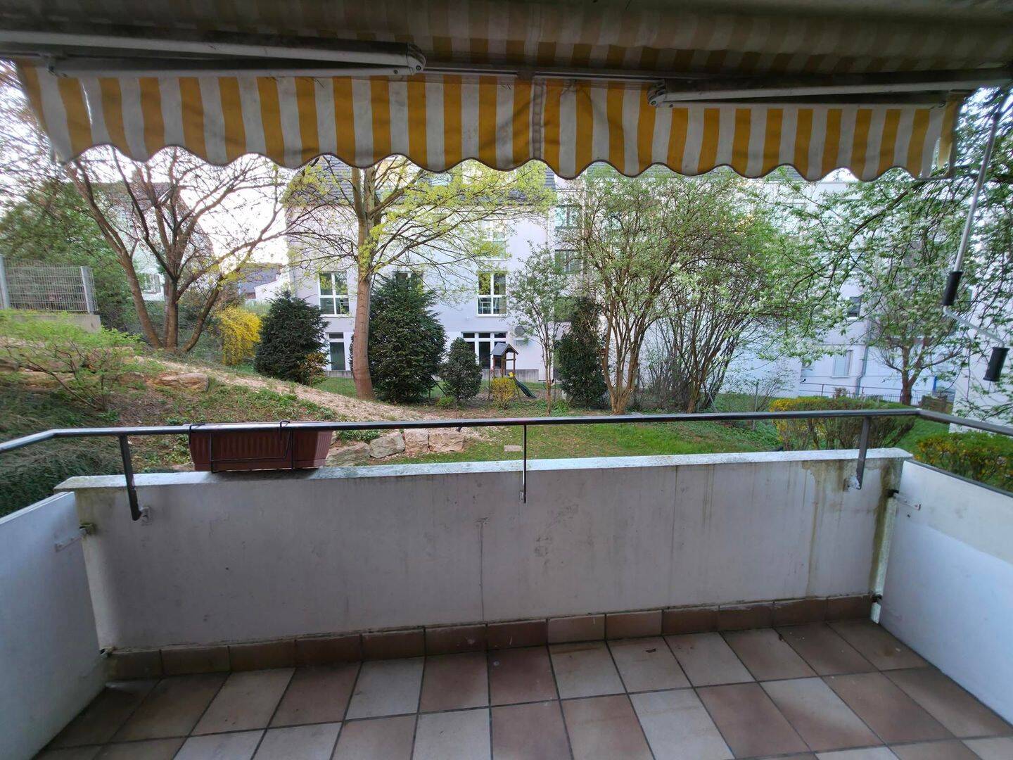 image-72595286