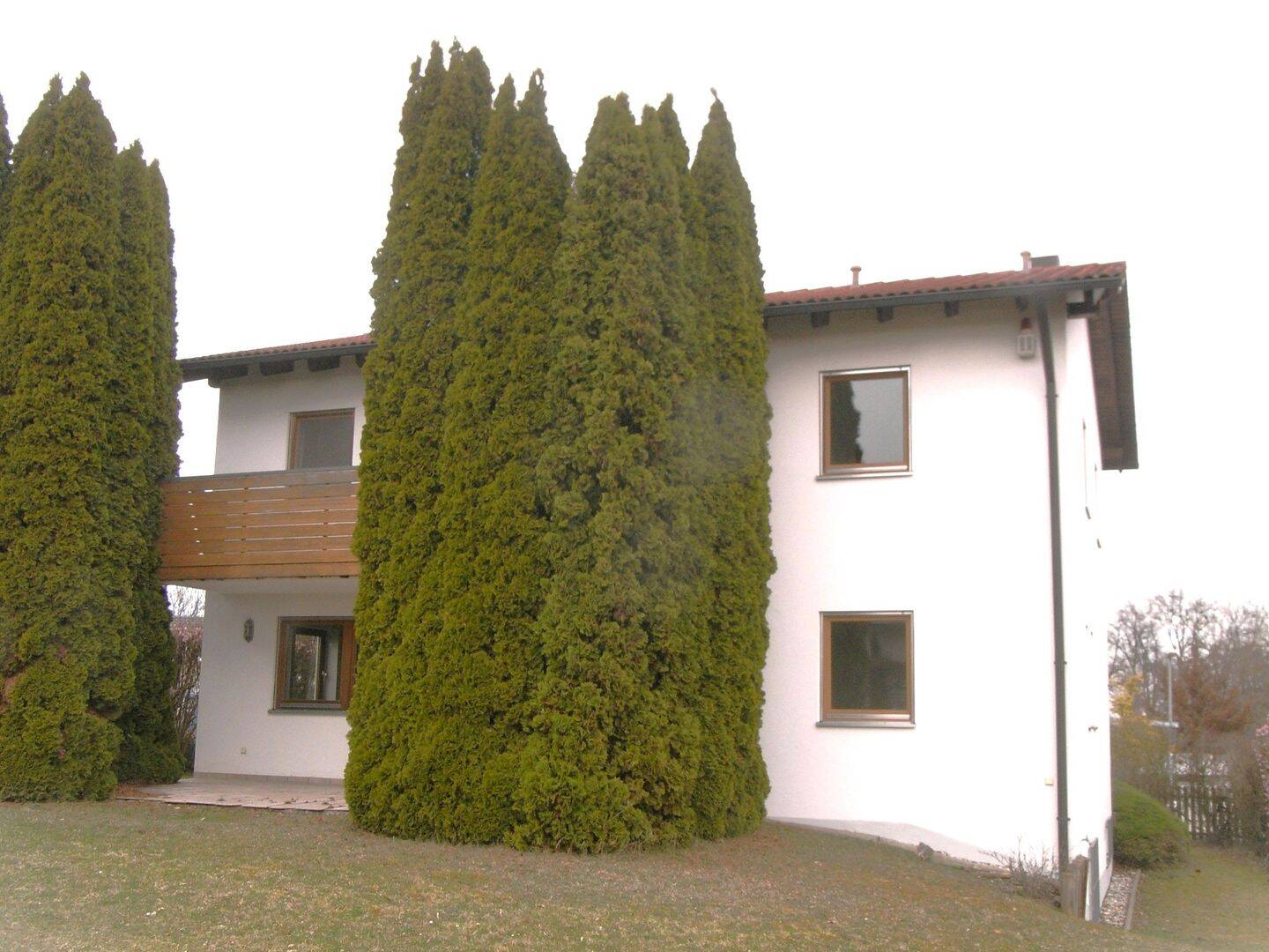 image-72344212