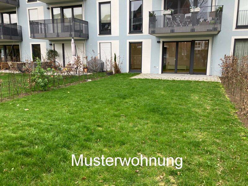 image-72648563