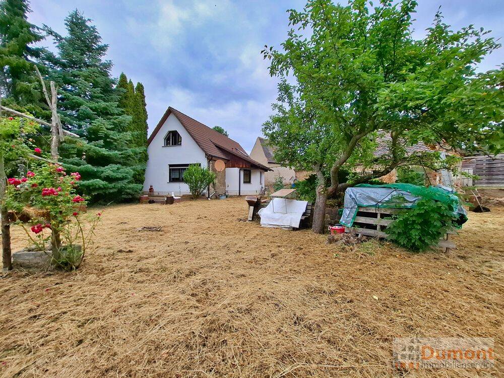 Natur pur nahe dem See – freistehendes Einfamilienhaus mit traumhaftem Grundstück in Frankleben., 6259 Braunsbedra