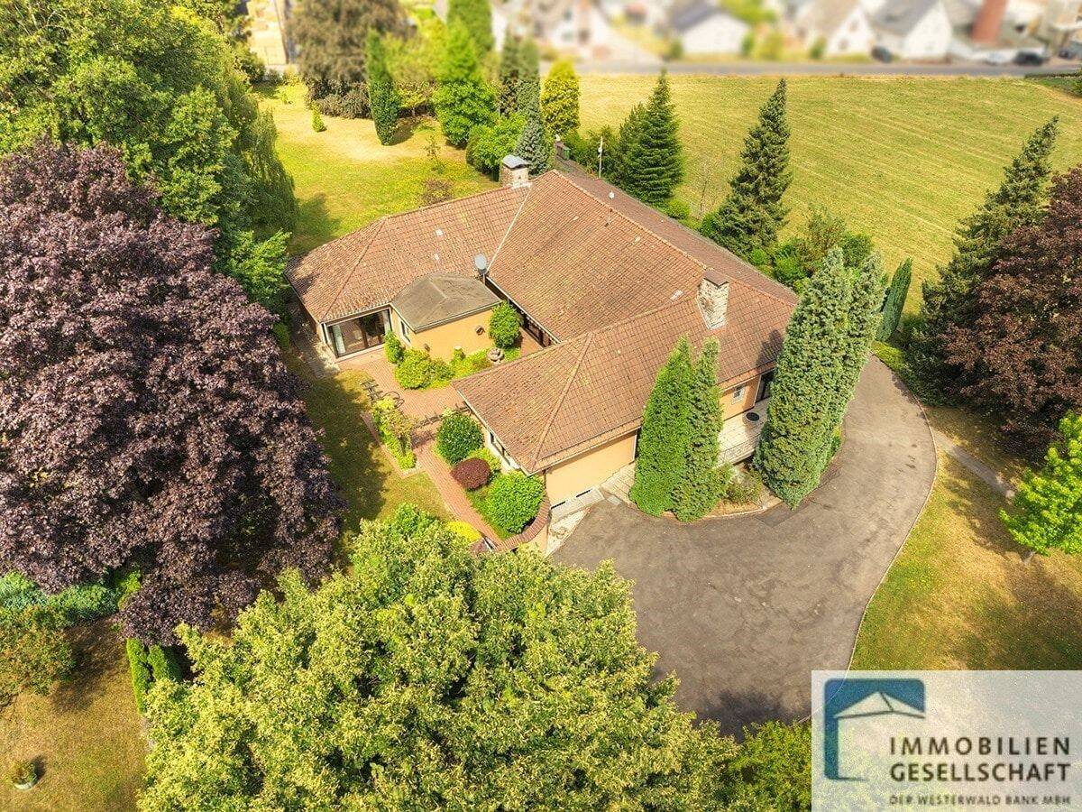 Repräsentatives Unternehmeranwesen im Bungalowstil mit großem Grundstück, 56235 Hundsdorf