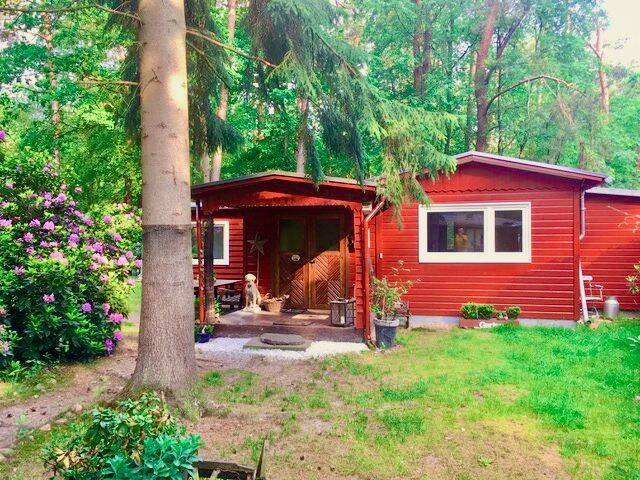Ferienhaus mit Traumrendite: Ultracharmantes Waldholzhaus auf idyllischem Waldgrundstück, 21244 Buchholz in der Nordheide