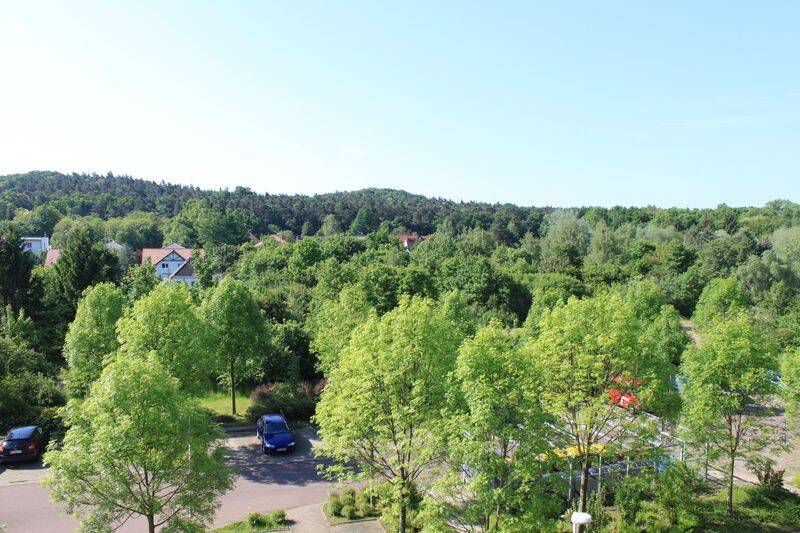 Kleines Appartement für Studis ab September zur Nachmiete, 6120 Halle (Saale) (Dölau Heide Nord Heide Süd Kröllwitz Lettin)