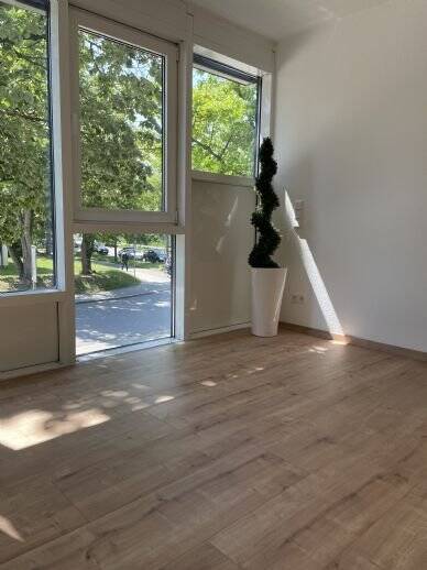 Wohnung gesucht? Diese 2-Raum-Wohnung in einer begehrten Lage im Regensburger Westen sucht neue Mieter!, 93049 Regensburg (Großprüfening-Dechbetten-Königswiesen Innenstadt Westenviertel)