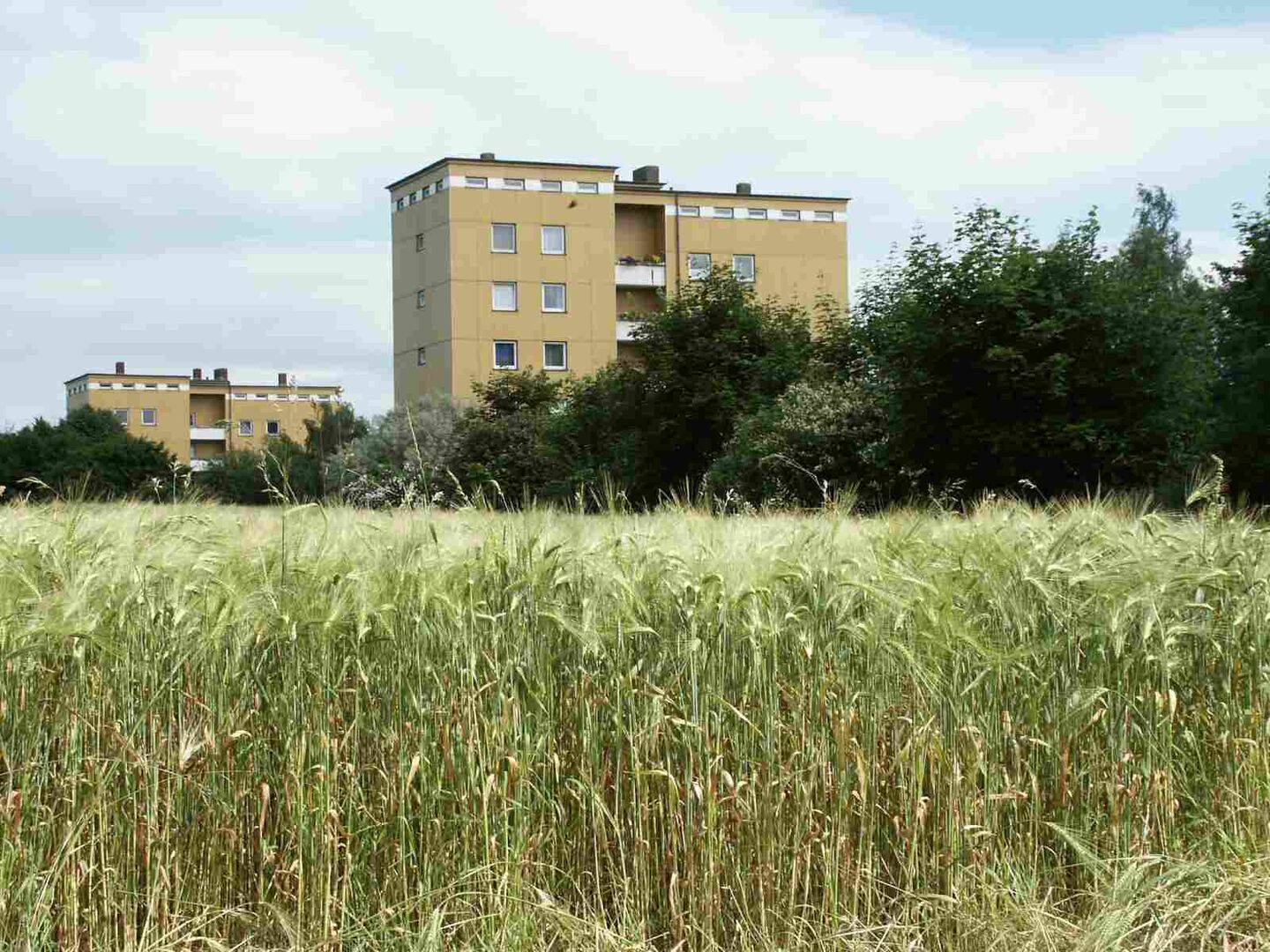 Komfortable Etagenwohnung im ruhigen Mehrfamilienhaus mit Balkon, 34125 Kassel