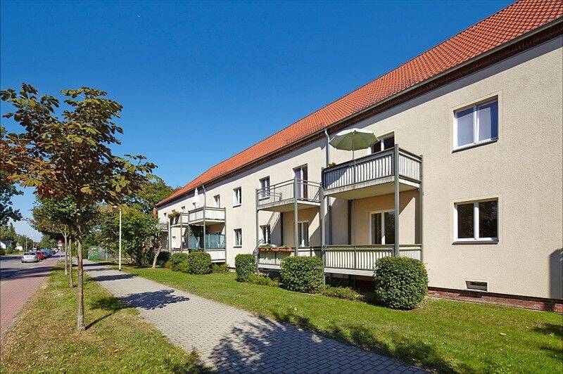 Nachmieter zum 01.10.2026 gesucht!, 14770 Brandenburg an der Havel (Altstadt Nord)