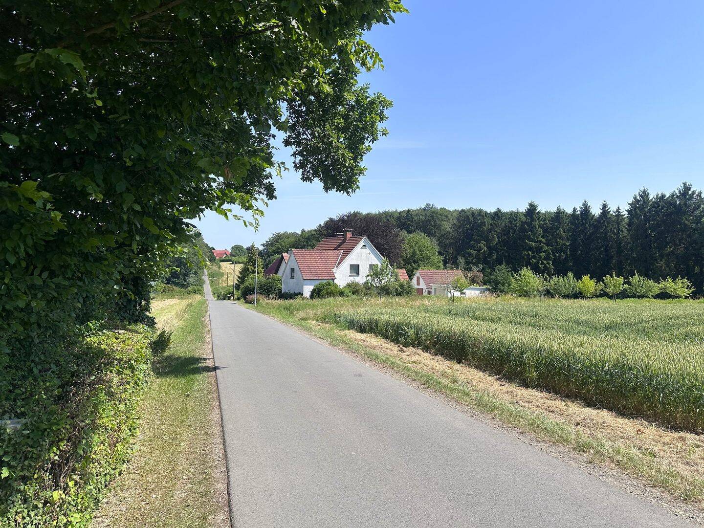 Auf einem 4.622 m² Grundstück steht dieses Einfamilienhaus mit eigenem Wald…, 32289 Rödinghausen