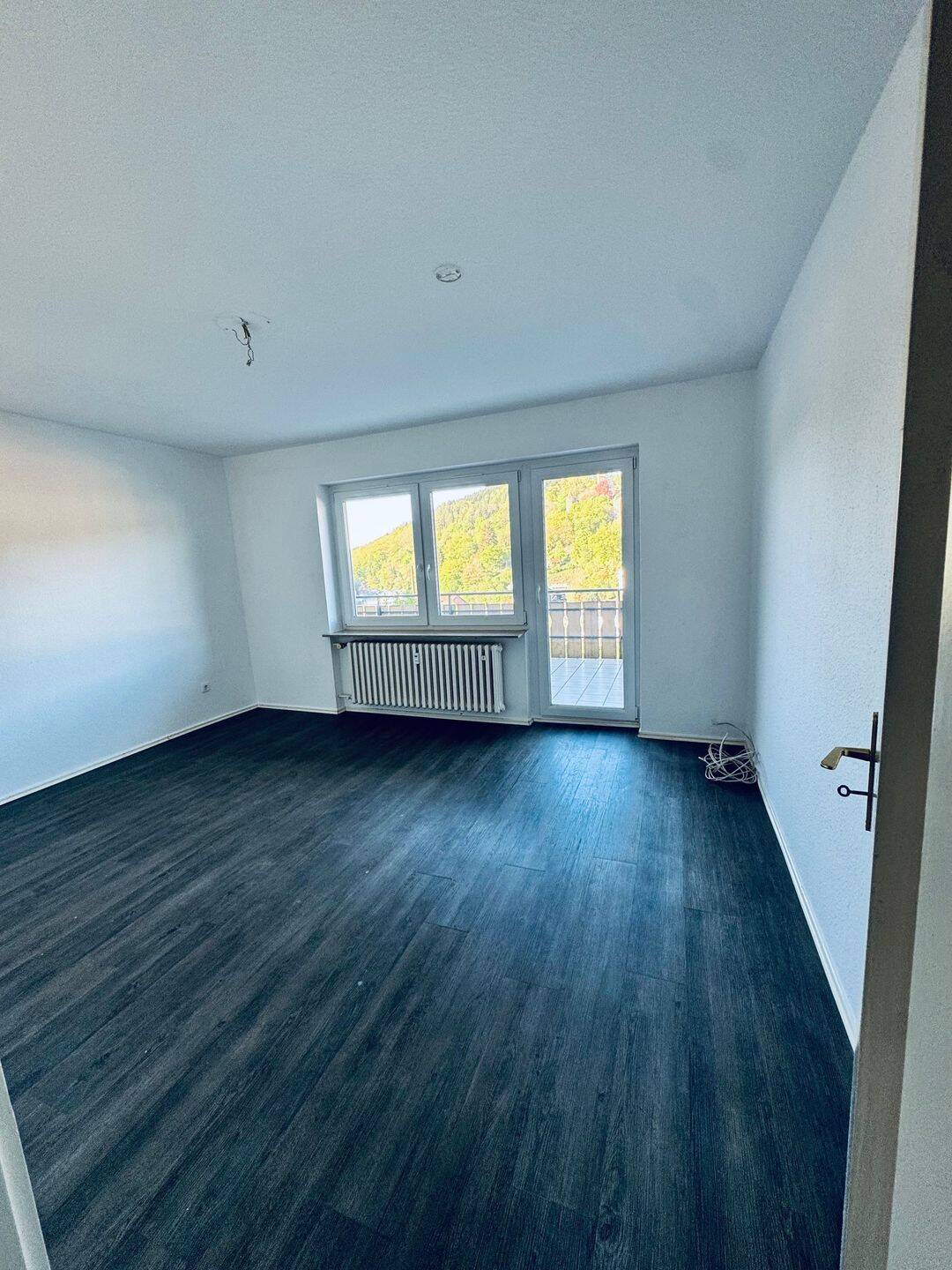 Große 4 Zimmerwohnung mit Großen Balkon und Panorama Blick, 69434 Hirschhorn (Neckar)