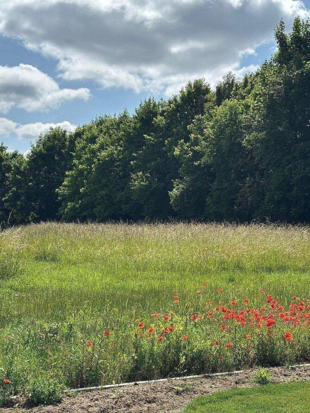 Baugrundstück in Niederwerrn – Ortsrand, 97464 Niederwerrn
