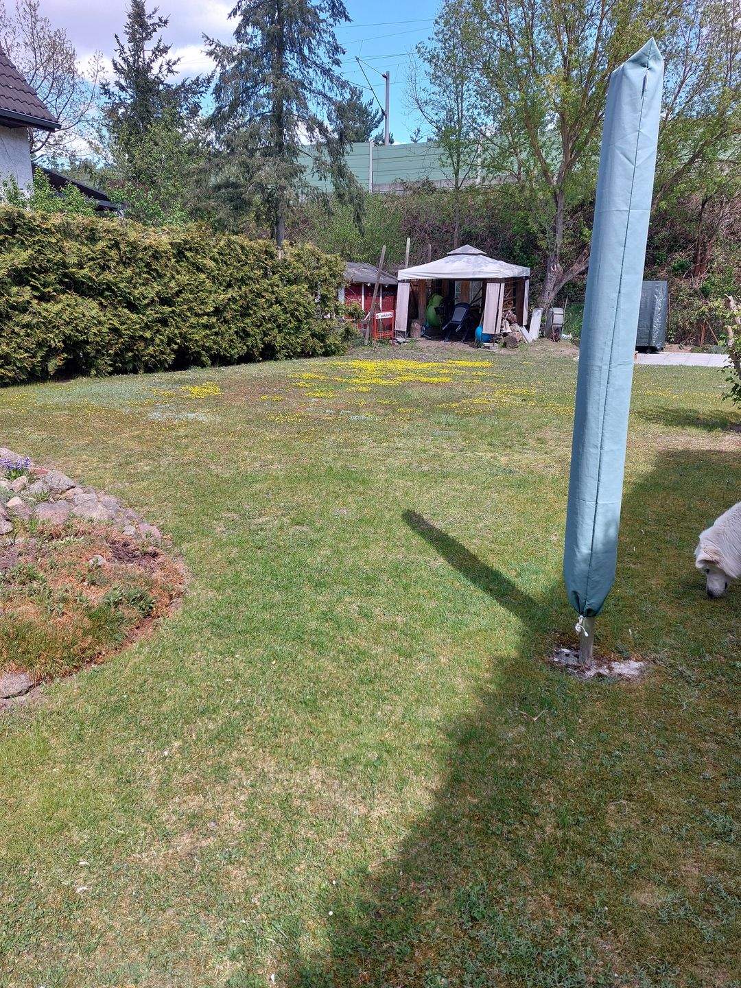 image-72777471