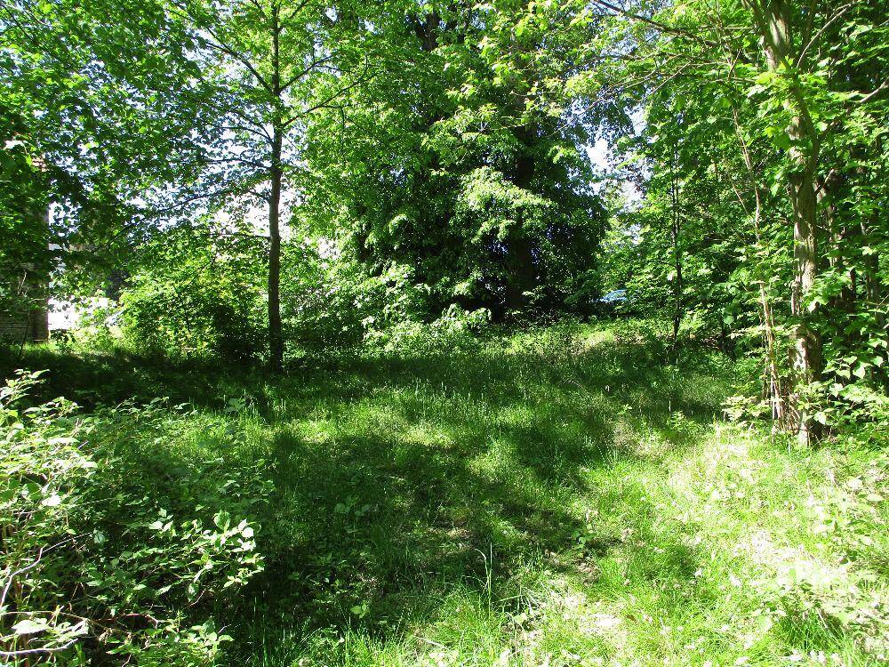 image-72319906