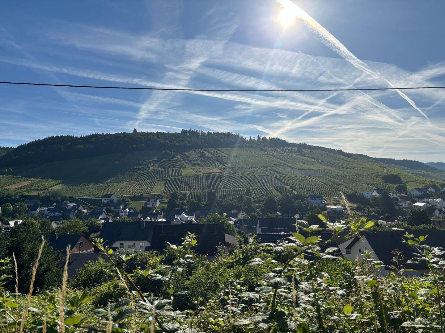 Traumgrundstück im Weinort Lieser mit Fernblick, 54470 Lieser