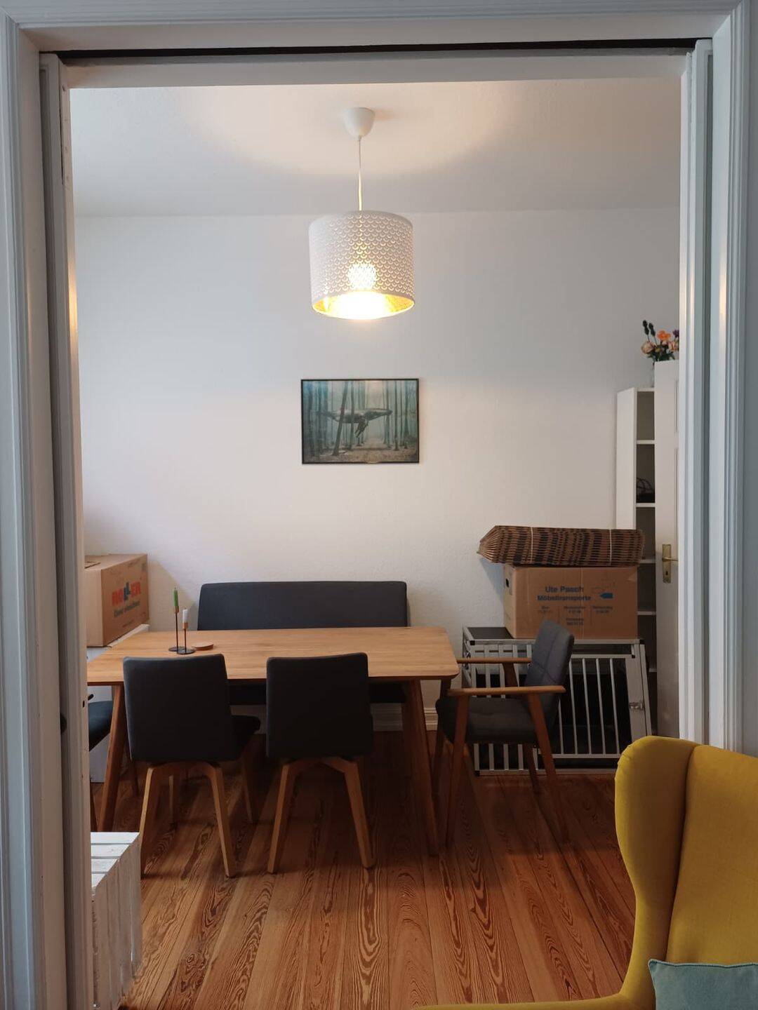 3-Zimmer Hochparterrewohnung in der Nähe vom Schrevenpark zu vermieten, 24116 Kiel (Schreventeich)