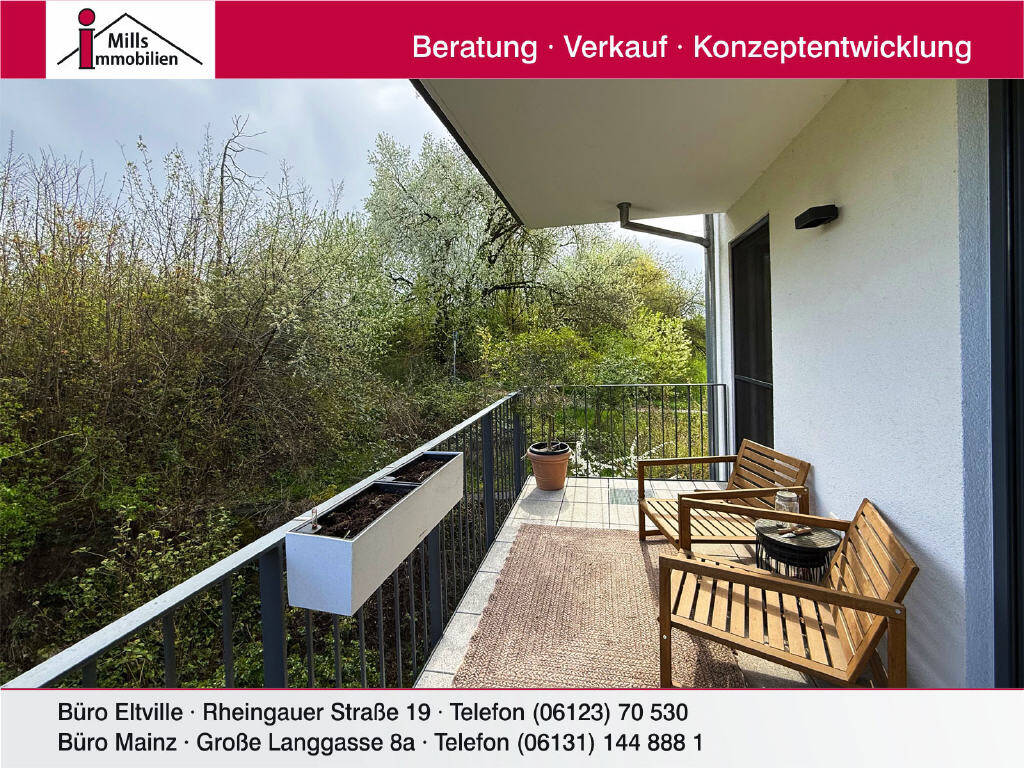 image-72624734
