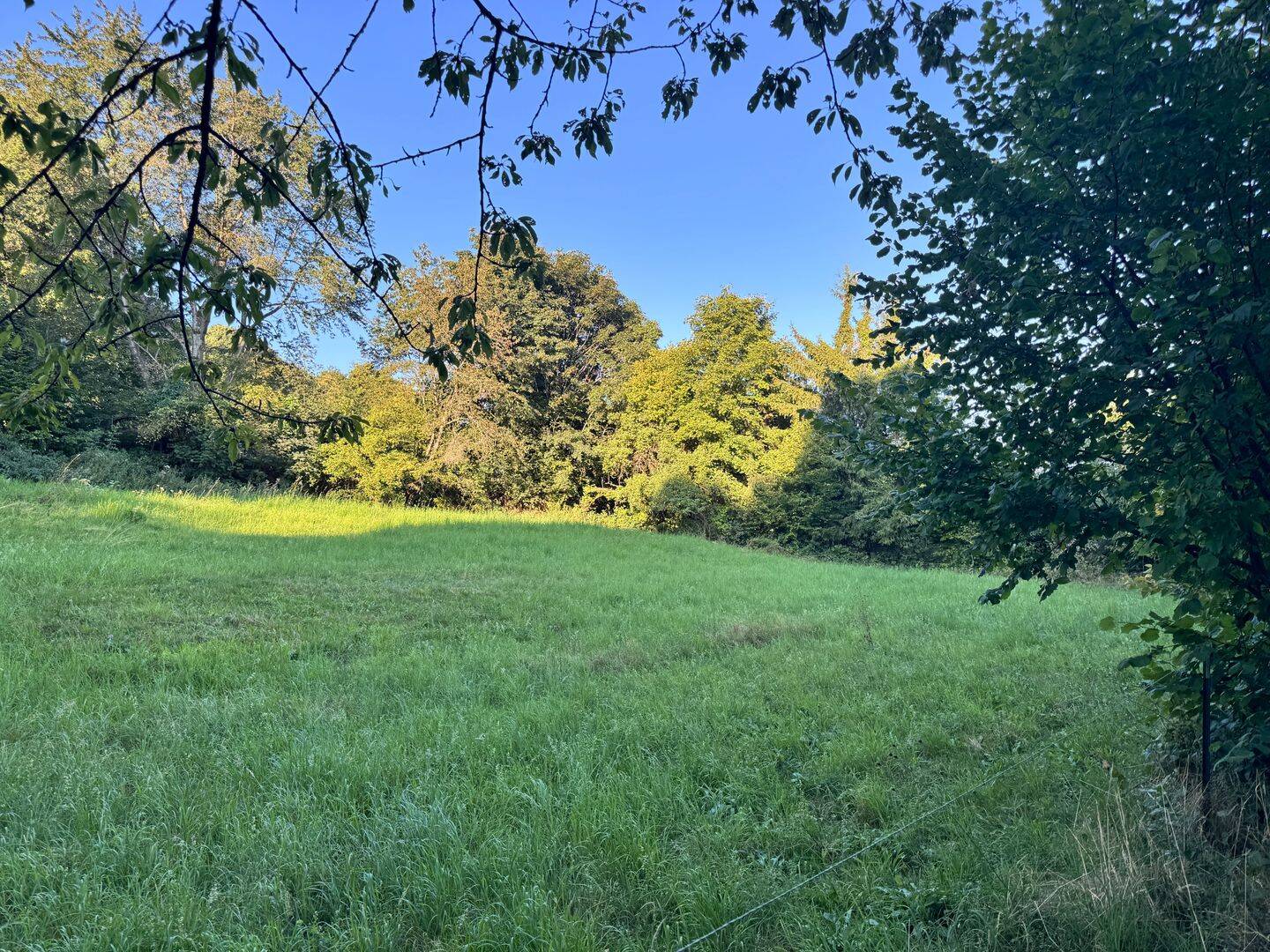 Einzigartiger Bauplatz mit großem Gartengrundstück für Natur- und Tierliebhaber direkt am Ortsrand, 75331 Engelsbrand