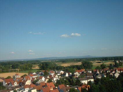 image-72779475