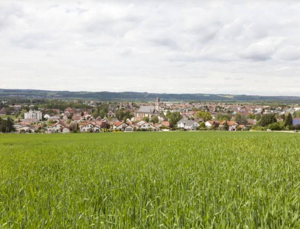Schönes MGH mit viel Potenzial, großem Grundstück im Grünen. VB!, 88255 Baienfurt