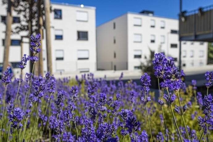 Mietwohnung aus gefördertem Wohnraum (Berechtigungsschein notwendig), 54294 Trier