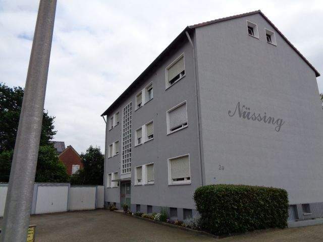 image-72606876