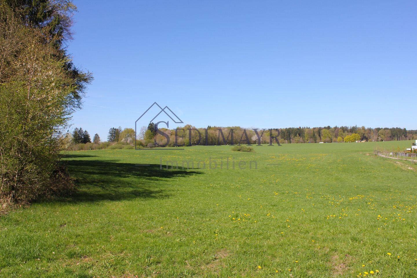 VERKAUF: Wohnen am Waldrand – Familienidylle in begehrter Lage von Starnberg, 82319 Starnberg