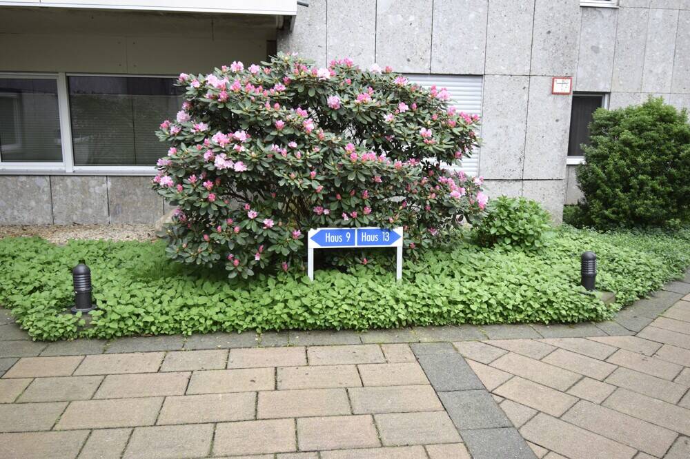 image-72760710