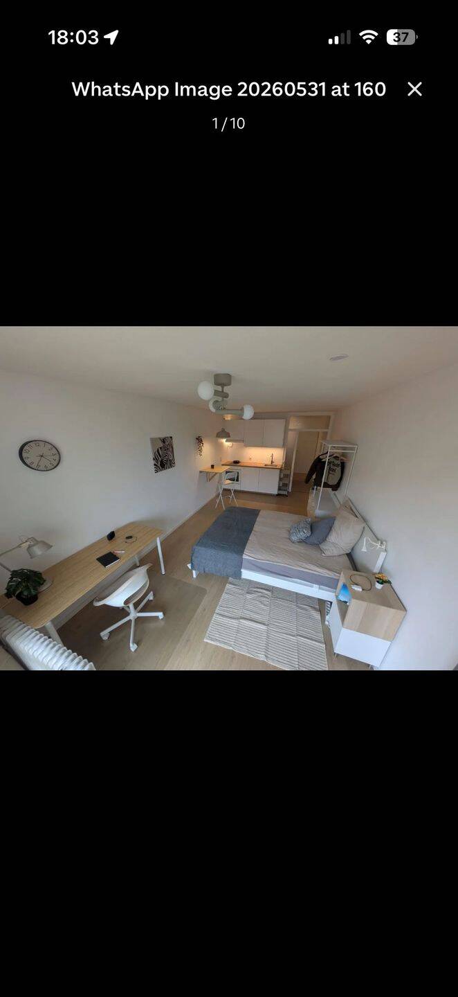 Ab sofort bezugsfertig: Helles, frisch renoviertes Möbliertes Appartement mit Südwestbalkon und Tiefgaragenstellplatz in Haidhausen, 81541 München (Au-Haidhausen Obergiesing Ramersdorf-Perlach)