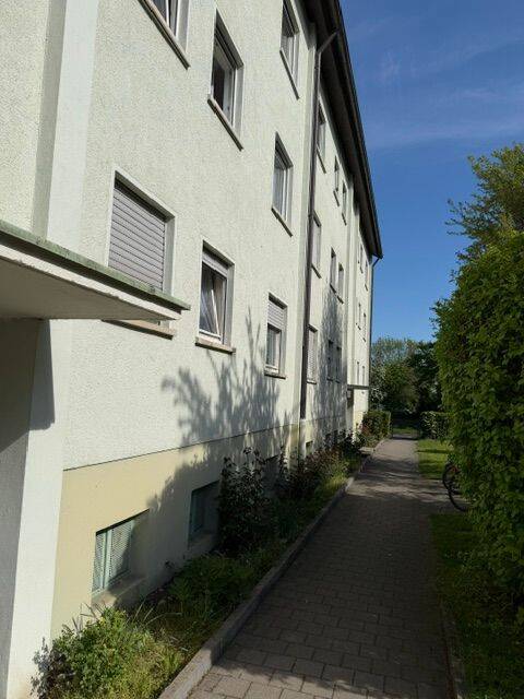 image-72485317