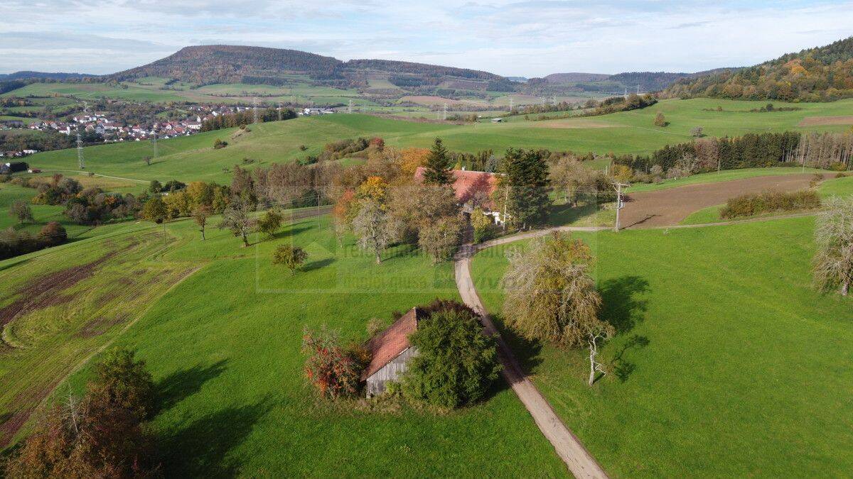 Ein Ort mit Geschichte, Weite und Möglichkeiten: Dieser Doppelbauernhof verbindet Ruhe, beeindruckende Ausblicke und viel Raum für neue Ideen., 78176 Blumberg