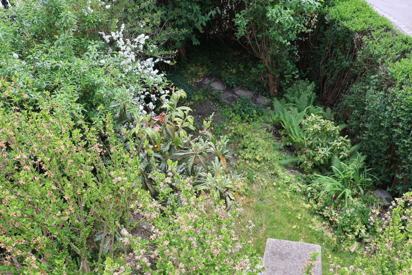 image-72711999