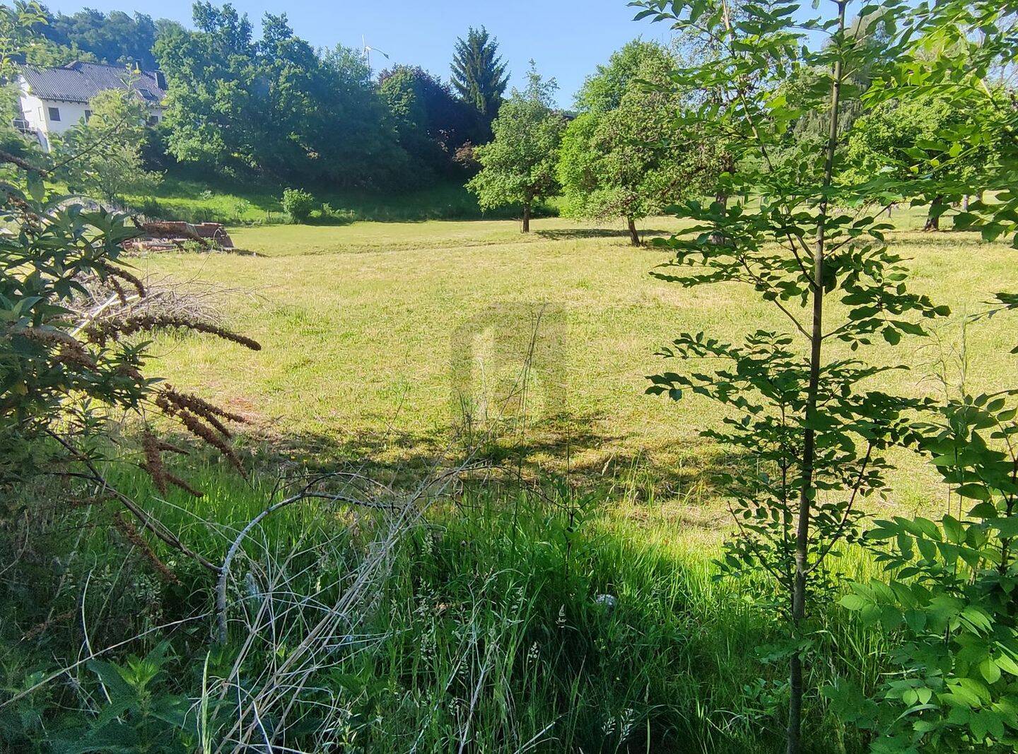 RUHIG GELEGEN MIT FREIER BAUGESTALTUNG, 88481 Balzheim