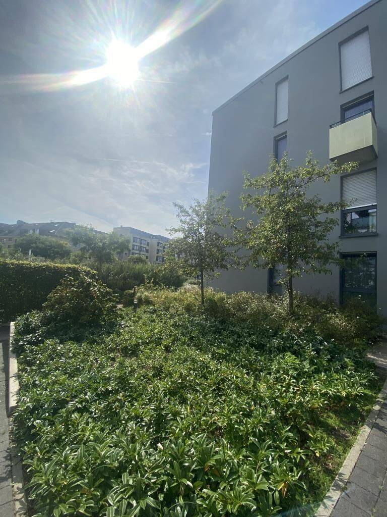 image-72946903