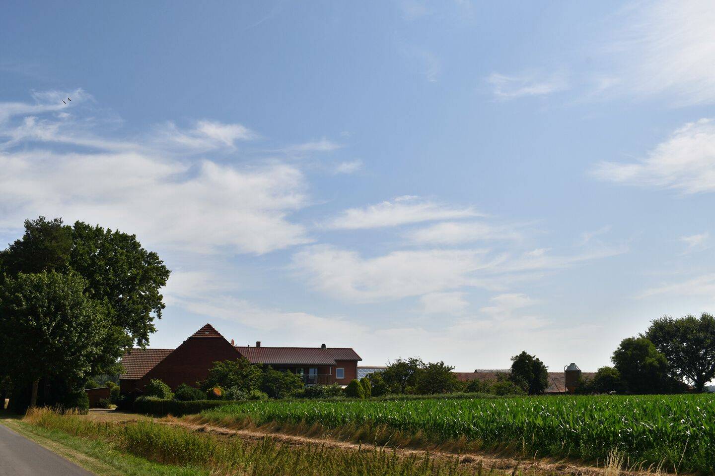 Solider Resthof mit Scheune Stallungen in Alleinlage, 49419 Wagenfeld