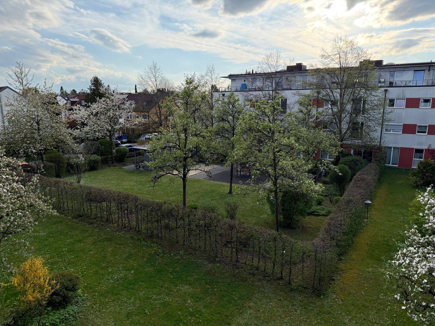 image-72450075