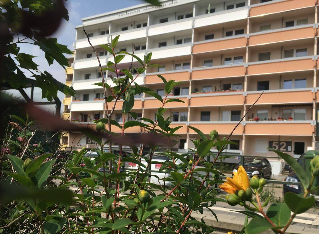 2-RWE mit Balkon, 6847 Dessau-Roßlau