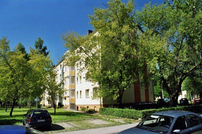 image-72606900