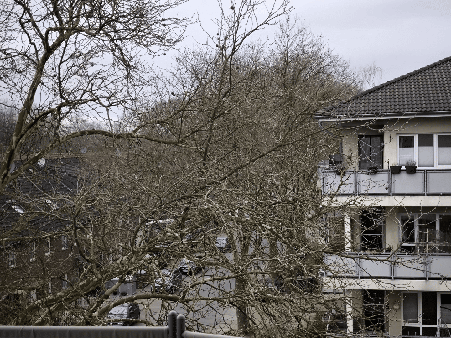 image-72799671