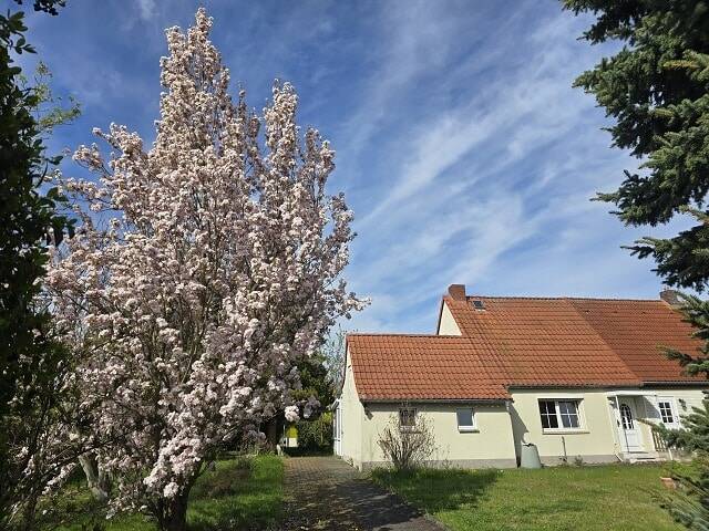 Kleines Haus – großer Garten!, 4617 Haselbach