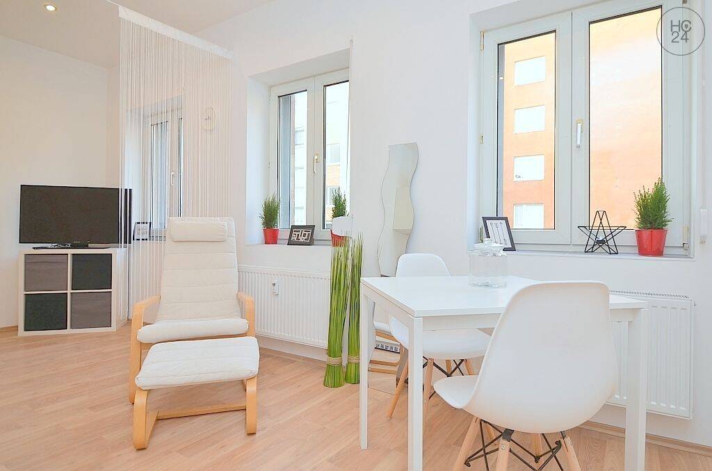 Modern möbliertes 1-Zimmer-Apartment mit WLAN in Fürth/-Mitte, 90763 Fürth (Südstadt Weikershof)