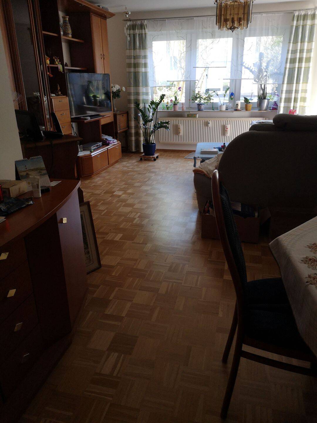 image-72476198