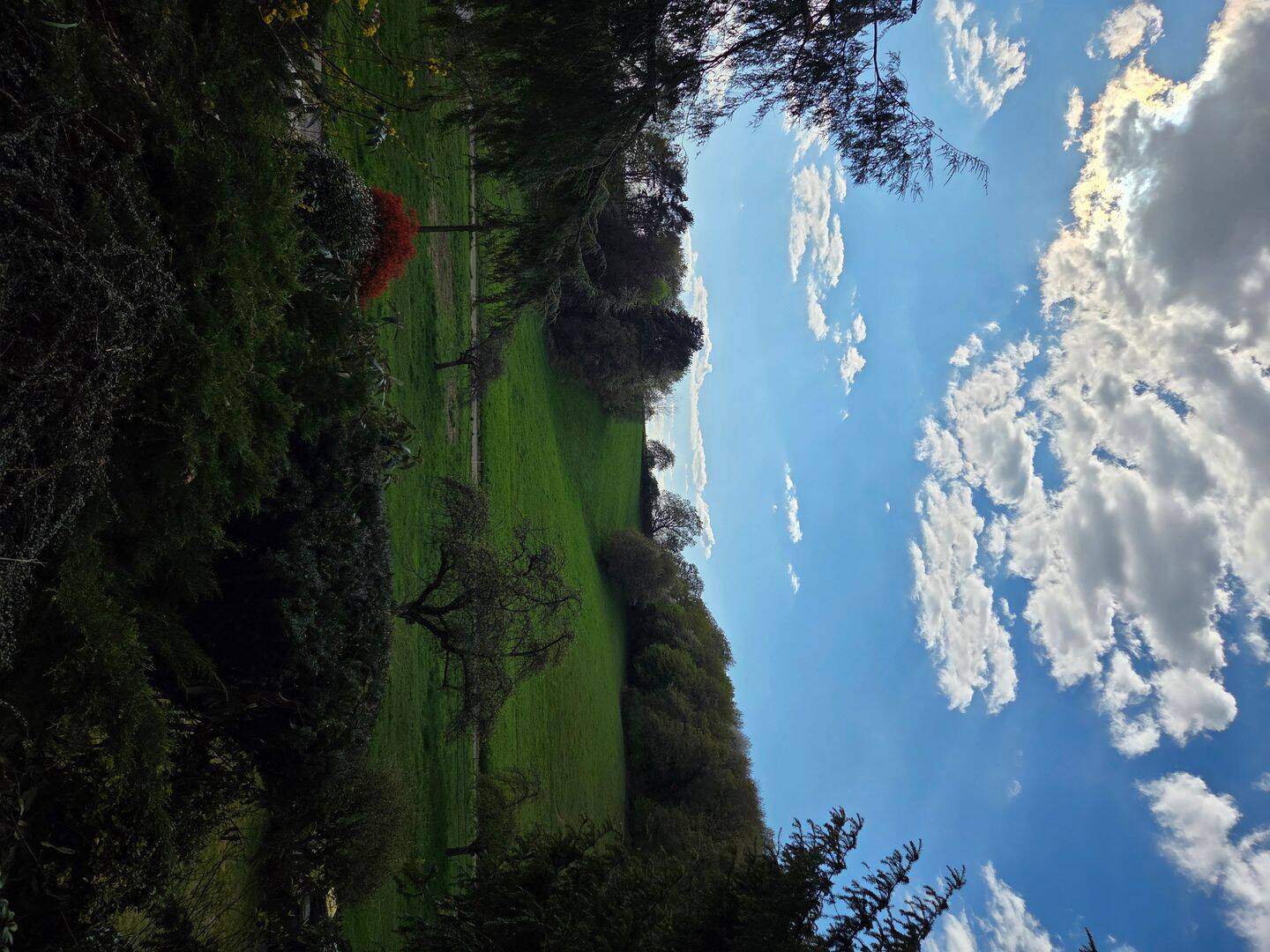 image-72541551